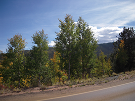Pike Peak, Colorado